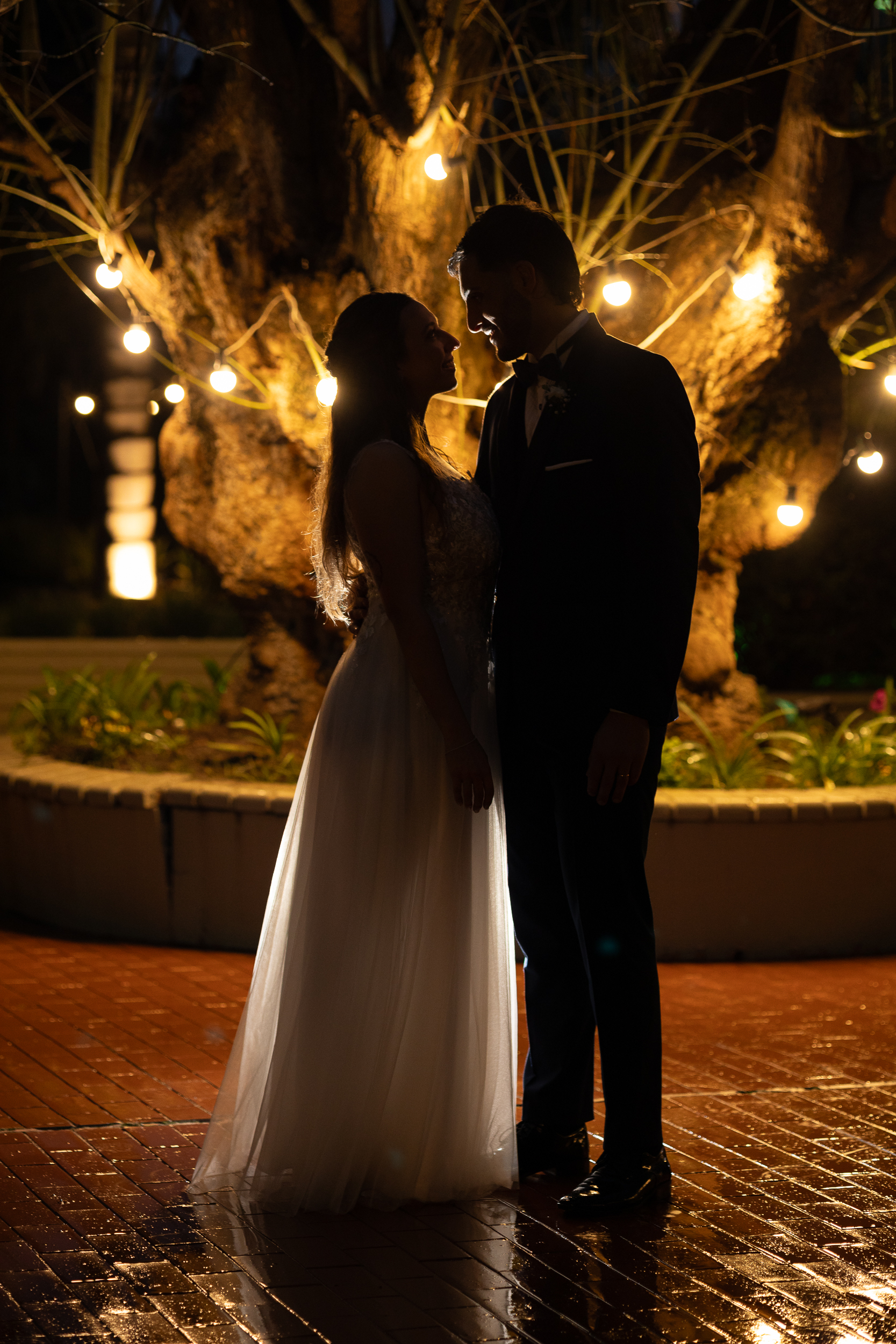 Fotografías propiedad de Swisslight © | Todos los derechos reservados.