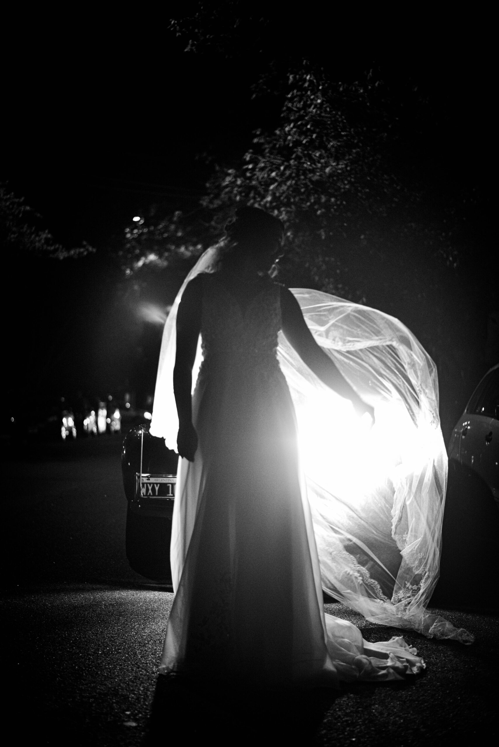 Fotografías propiedad de Swisslight © | Todos los derechos reservados.