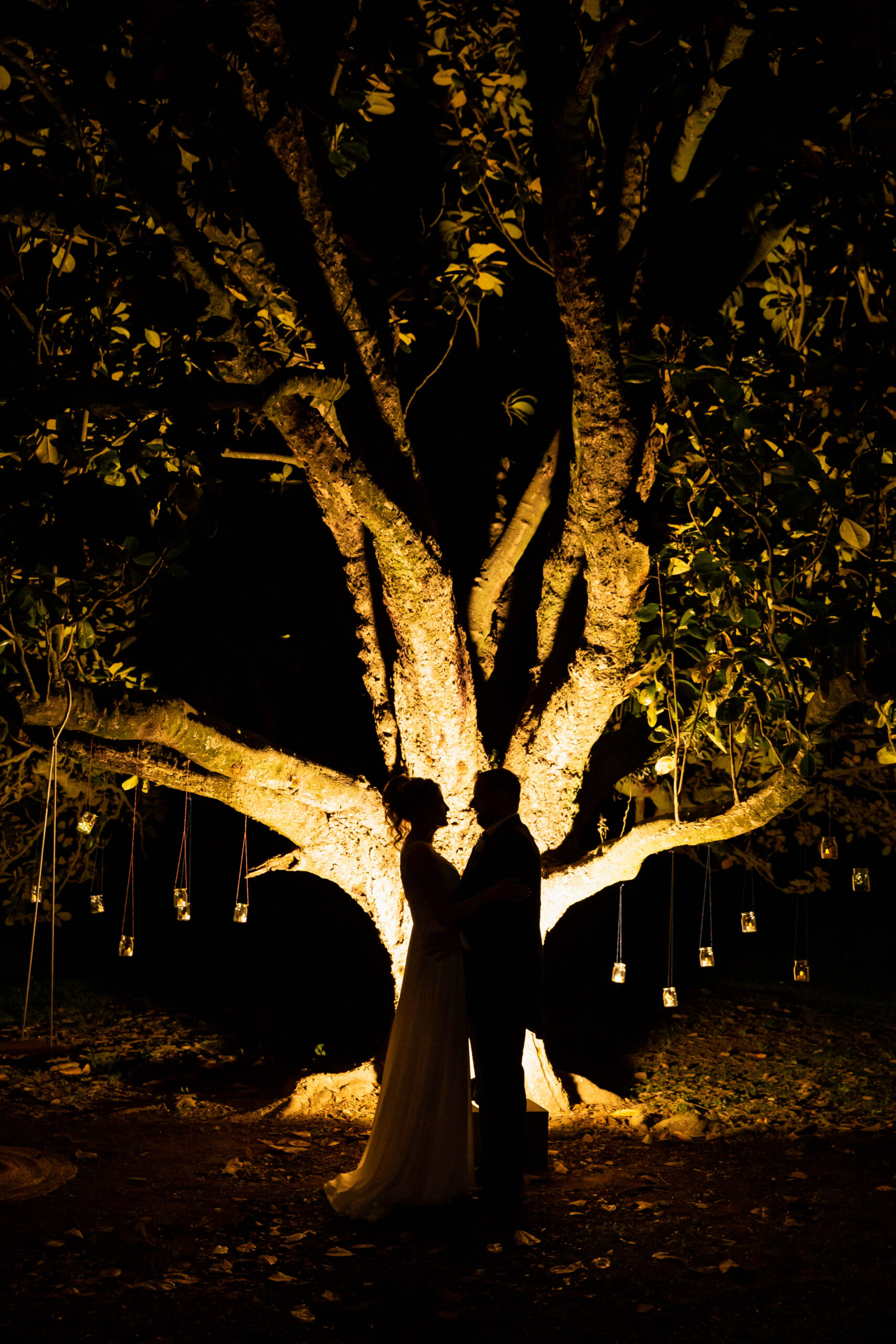 Fotografías propiedad de Swisslight © | Todos los derechos reservados.