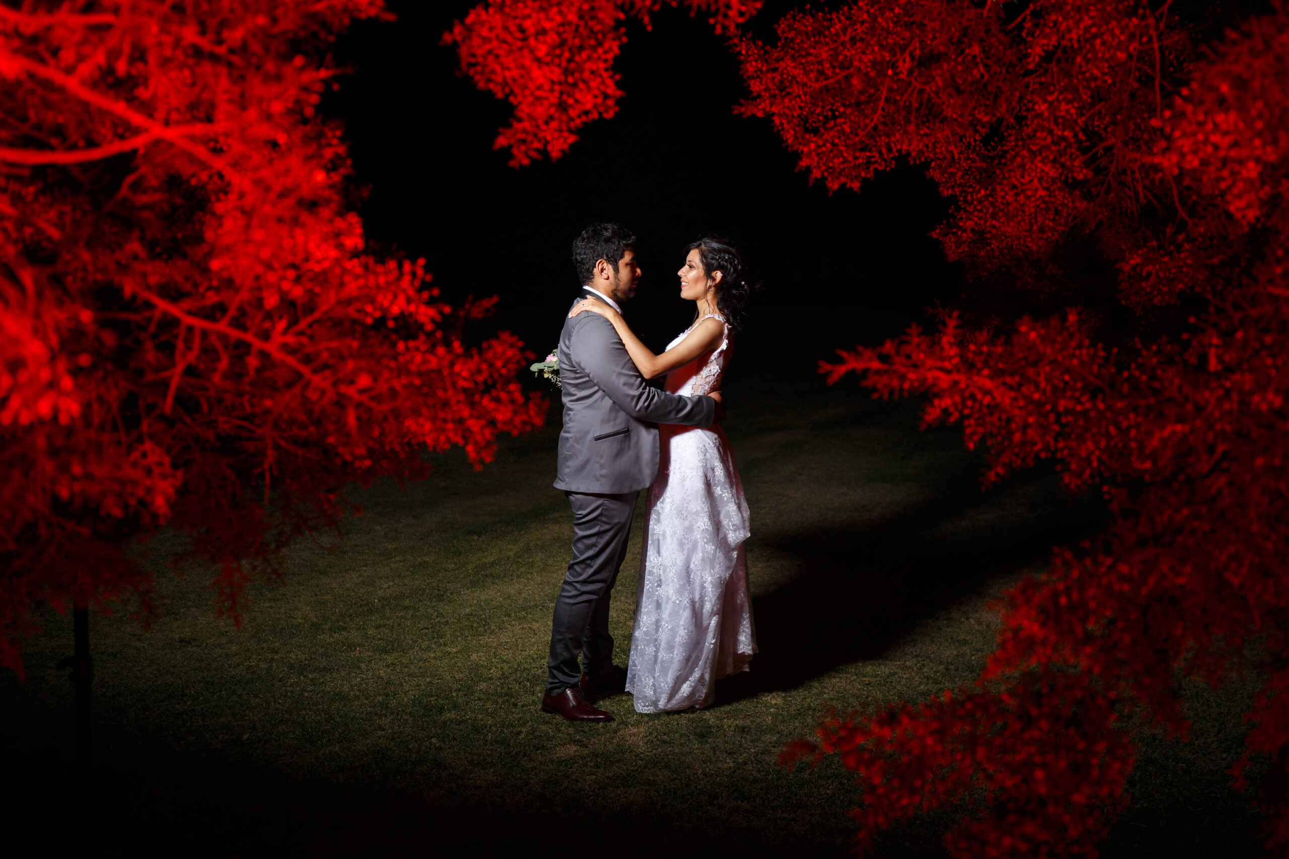 Fotografías propiedad de Swisslight © | Todos los derechos reservados.