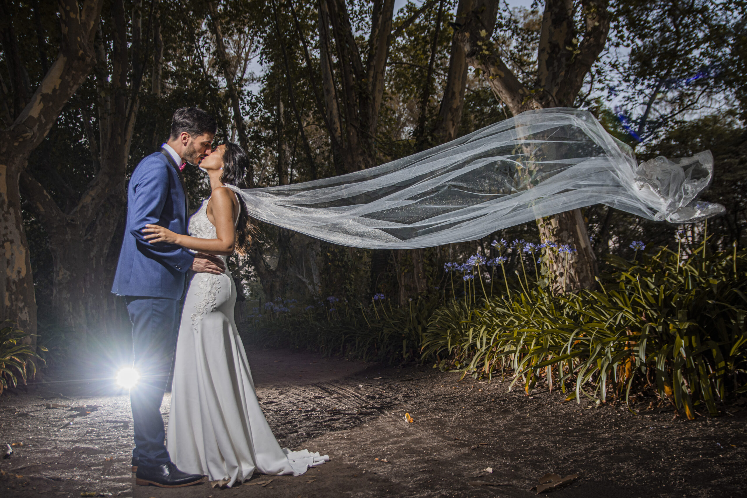Fotografías propiedad de Swisslight © | Todos los derechos reservados.