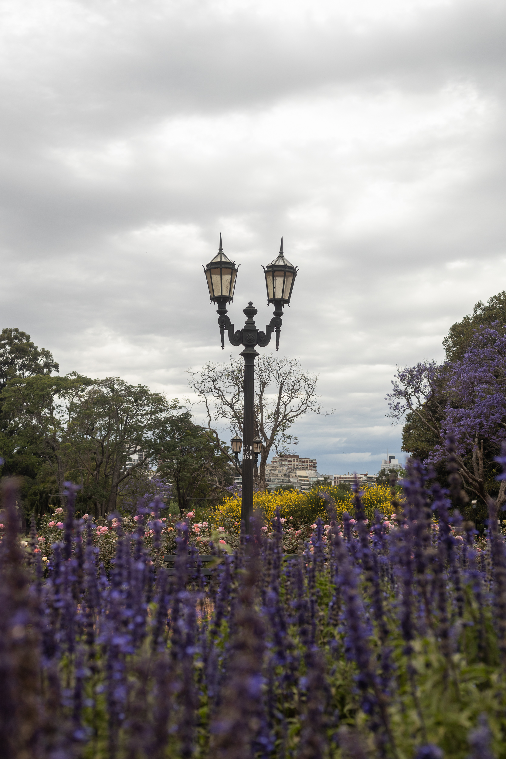 Fotografías propiedad de Swisslight © | Todos los derechos reservados.